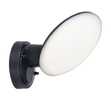 Уличный светодиодный настенный светильник Escada Walk 10215/1LED