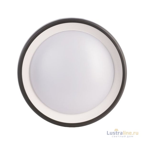 Уличный настенный светильник Deko-Light Canis 731043