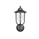 Уличный настенный светильник Covali WL-31080
