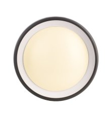 Уличный настенный светильник Deko-Light Canis 731043