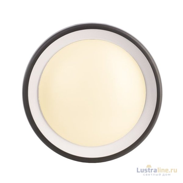 Уличный настенный светильник Deko-Light Canis 731043