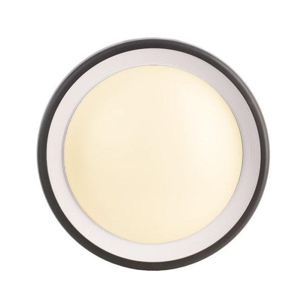 Уличный настенный светильник Deko-Light Canis 731043