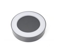 Светильник настенный Favourite Washer 2865-1W Светильник настенный Favourite Washer 2865-1W