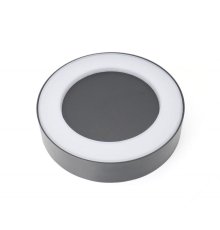 Светильник настенный Favourite Washer 2865-1W