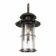 Уличный настенный светильник Loft IT Palermo 100015W