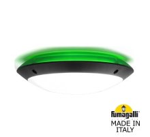 Уличный настенный светильник Fumagalli Lucia 1R3.000.000.AYE27GN1