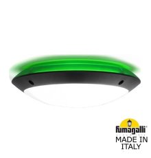 Уличный настенный светильник Fumagalli Lucia 1R3.000.000.AYE27GN1