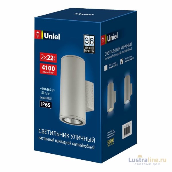 Уличный настенный светильник Uniel ULU-S22D-2x22W/6400K IP65 LIGHT GREY UL-00011087 Уличный настенный светильник Uniel ULU-S22D-2x22W/6400K IP65 LIGHT GREY UL-00011087