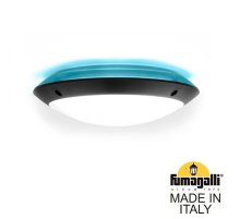 Уличный настенный светильник Fumagalli Lucia 1R3.000.000.AYE27BU1