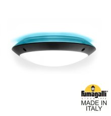 Уличный настенный светильник Fumagalli Lucia 1R3.000.000.AYE27BU1