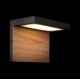 Уличный настенный светильник Loft IT Oak 100001W