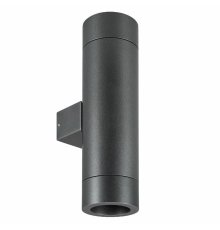 Уличный настенный светильник Arlight LGD-RAY-WALL-TWIN-R65-2x12W Day4000 044232
