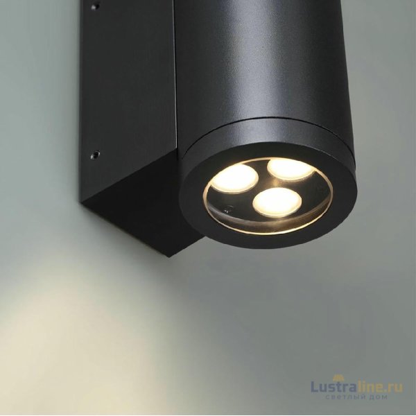 Уличный настенный светильник Odeon Light Long 7071/7WL