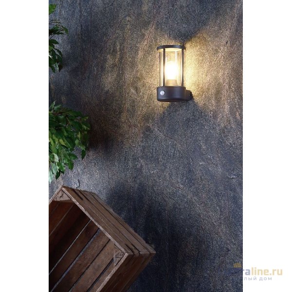 Уличный настенный светильник Deko-Light Adebar 731137 Уличный настенный светильник Deko-Light Adebar 731137