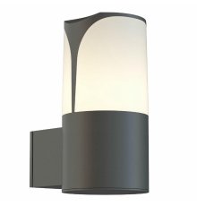 Уличный настенный светильник Maytoni Piccadilly O016WL-01B