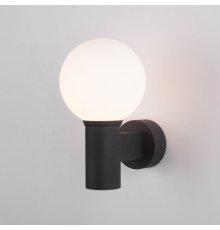 Уличный настенный светильник Elektrostandard Sfera 4690389186080