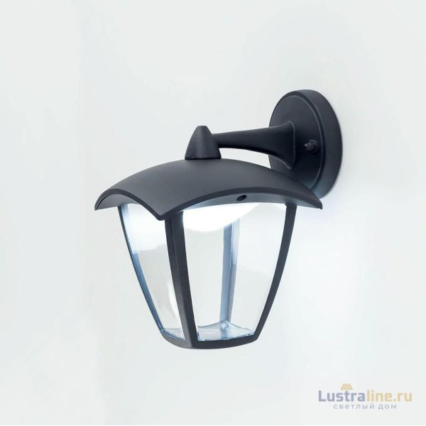 Уличный настенный светодиодный светильник Citilux CLU04W2