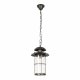 Уличный подвесной светильник Loft IT Palermo 100015P