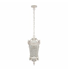 Уличный подвесной светильник Loft IT Tremezzo 100019P WBG