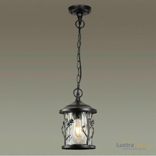 Уличный подвесной светильник Odeon Light Cuita 4963/1