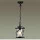 Уличный подвесной светильник Odeon Light Cuita 4963/1