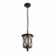 Уличный подвесной светильник Loft IT Ravenna 100016P