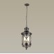 Уличный подвесной светильник Odeon Light Sation 4045/3