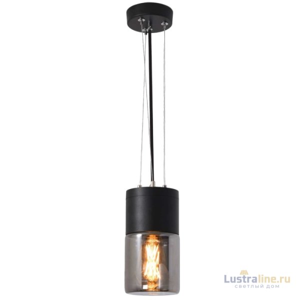 Уличный подвесной светильник Elektrostandard Roil 35125/H 4690389175428 a055634 Уличный подвесной светильник Elektrostandard Roil 35125/H 4690389175428 a055634