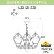 Уличный светильник Fumagalli U23.120.S30.AXF1R