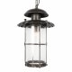 Уличный подвесной светильник Loft IT Palermo 100015P