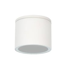 Уличный потолочный светильник Arte Lamp Piautos A1913PF-1WH