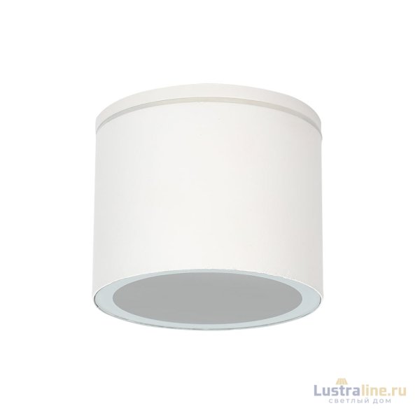Уличный потолочный светильник Arte Lamp Piautos A1913PF-1WH