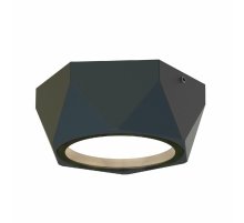 Уличный потолочный светильник Favourite Fantum 4670-1U Уличный потолочный светильник Favourite Fantum 4670-1U