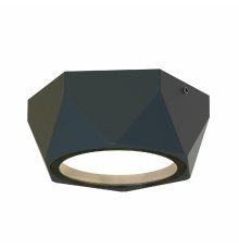 Уличный потолочный светильник Favourite Fantum 4670-1U