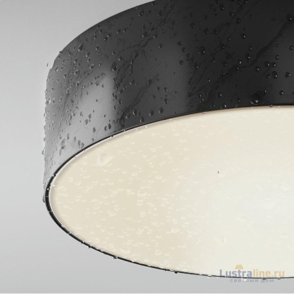 Уличный потолочный светильник Maytoni Zon IP O431CL-L30B4K Уличный потолочный светильник Maytoni Zon IP O431CL-L30B4K