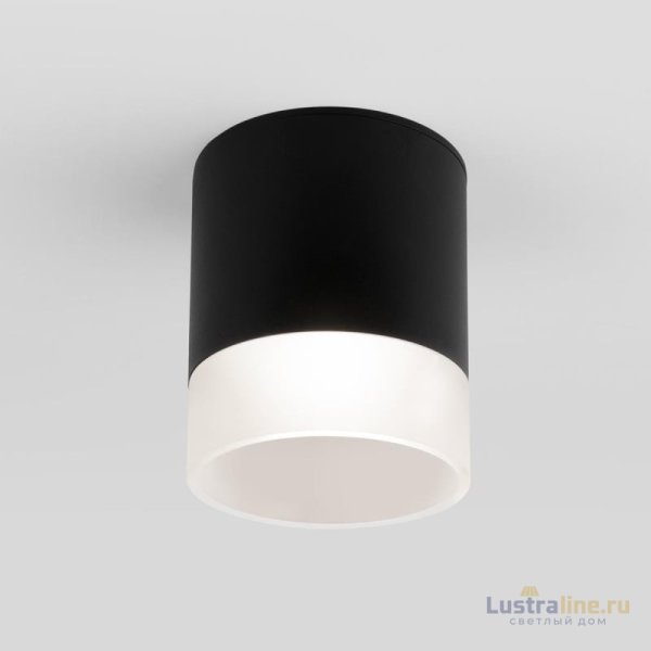Уличный потолочный светильник Elektrostandard Light LED 4690389177941