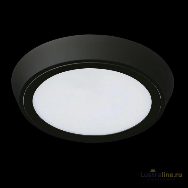 Уличный светильник Lightstar 216972