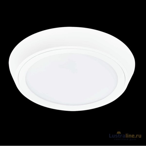 Уличный светильник Lightstar 216904 Уличный светильник Lightstar 216904