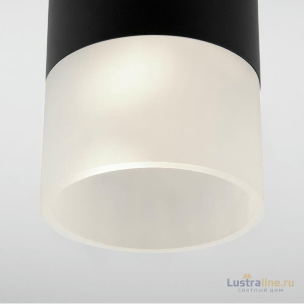 Уличный потолочный светильник Elektrostandard Light LED 4690389177910 Уличный потолочный светильник Elektrostandard Light LED 4690389177910
