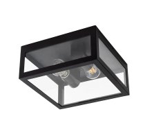 Уличный потолочный светильник Arte Lamp Belfast A4569PF-2BK