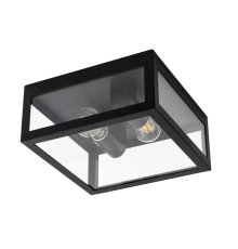 Уличный потолочный светильник Arte Lamp Belfast A4569PF-2BK