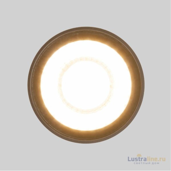 Уличный потолочный светильник Elektrostandard Light LED 4690389176975 Уличный потолочный светильник Elektrostandard Light LED 4690389176975