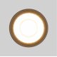 Уличный потолочный светильник Elektrostandard Light LED 4690389176975