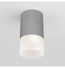 Уличный потолочный светильник Elektrostandard Light LED 4690389177934