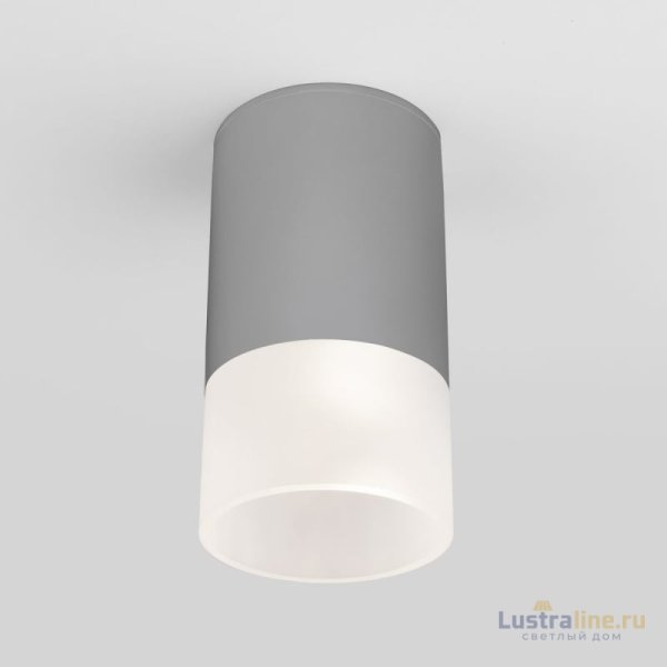 Уличный потолочный светильник Elektrostandard Light LED 4690389177934 Уличный потолочный светильник Elektrostandard Light LED 4690389177934