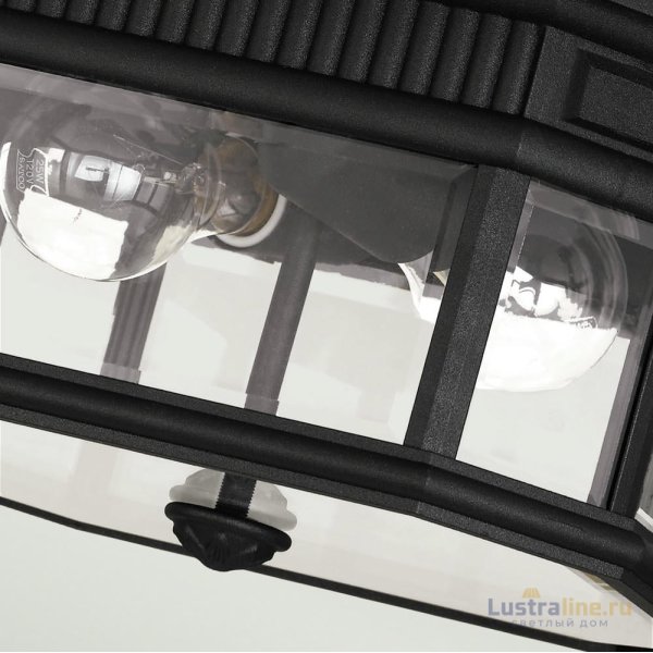 Уличный потолочный светильник Feiss Cotswold lane FE-COTSLN-F-BK