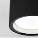 Уличный потолочный светильник Elektrostandard Light 4690389180835