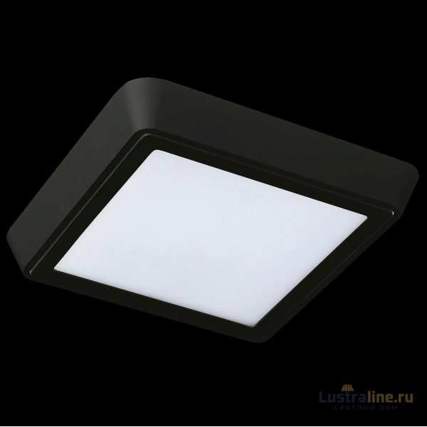 Уличный светильник Lightstar 216874