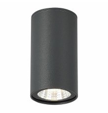 Уличный потолочный светильник ST Luce Tubo SL9514.702.01