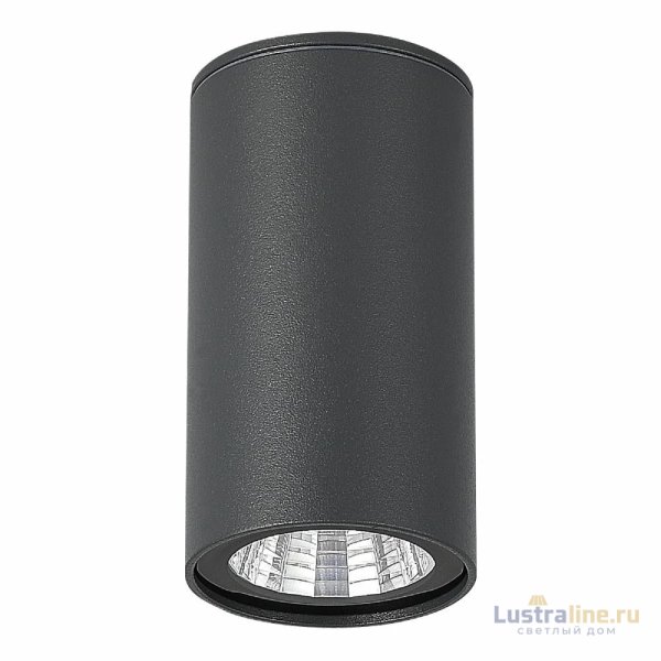 Уличный потолочный светильник ST Luce Tubo SL9514.702.01